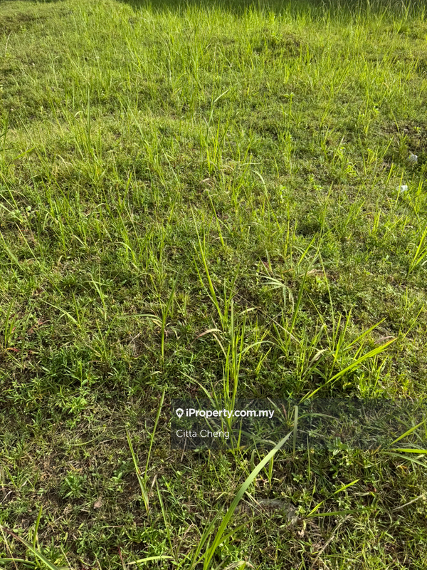 Bungalow Land for Sale in Sri Hartamas, Kuala Lumpur by Citta Cheng - iProperty.com.my