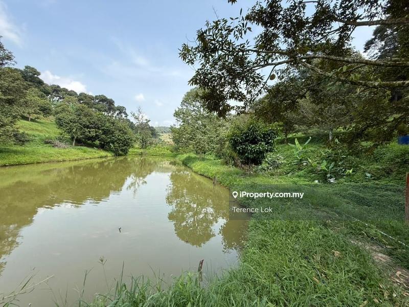 Tanah Pertanian untuk Dijual di Hosapa, Titi oleh Terence Lok - iProperty.com.my