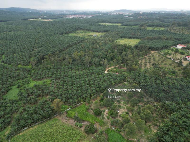 Agricultural Land for Sale in Senai, Kulai by Max Loh - iProperty.com.my