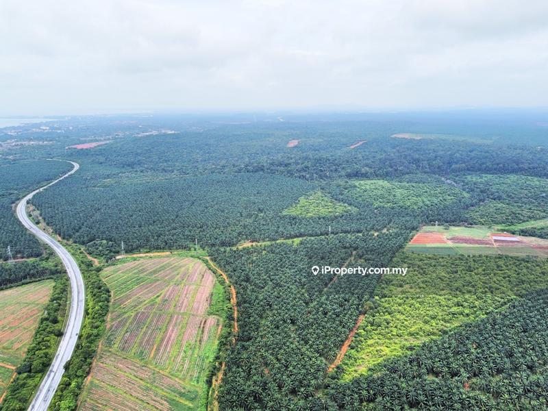 Agricultural Land for Sale in Kampung Batu 7, Port Dickson by Mohamad Faleeq - iProperty.com.my
