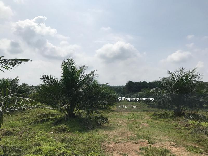 For Sale - Batang Berjuntai