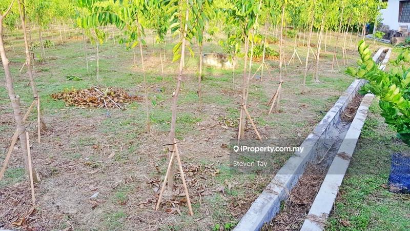 Tanah Pertanian untuk Dijual di Broga, Lenggeng oleh Steven Tay - iProperty.com.my