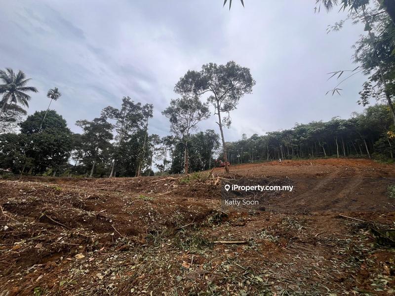 Tanah Pertanian untuk Disewa di Kampung Sungai Tekali, Hulu Langat oleh Katty Soon - iProperty.com.my