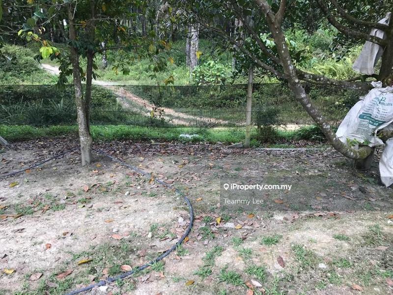 Agricultural Land for Sale in Kajang, Selangor by Teammy Lee - iProperty.com.my