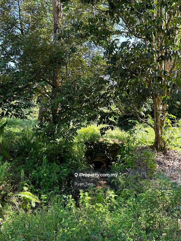 Agricultural Land for Sale in Karak, Pahang by Ryan Swe - iProperty.com.my