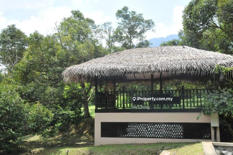 Agricultural Land for Sale in Bandar Raub Perdana, Raub by Mr Ching - iProperty.com.my