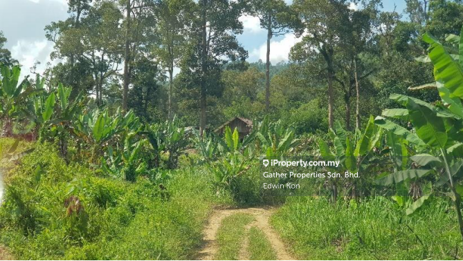 For Sale - Bentong Raub Agriculture Land