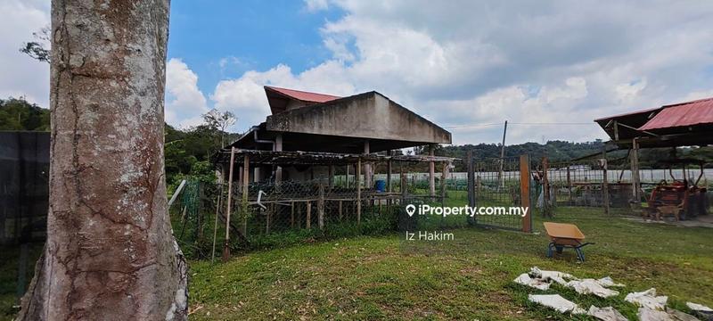 Agricultural Land for Sale in Batang Kali, Selangor by Iz Hakim - iProperty.com.my