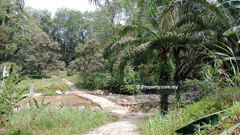 Agricultural Land for Sale in Tapah Perak 550 Acres Freehold Agriculture Land, Tapah by Winnie Chan - iProperty.com.my