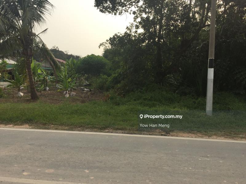 Agricultural Land for Sale in Tanjung Kupang, Iskandar Puteri (Nusajaya) by Yow Han Meng - iProperty.com.my