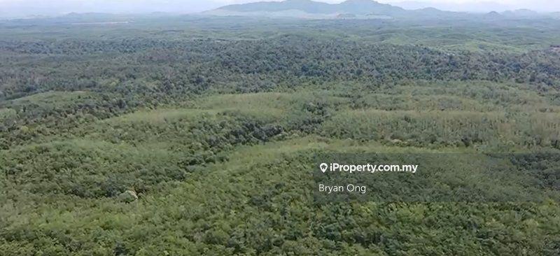 For Sale - Rubber Plantation