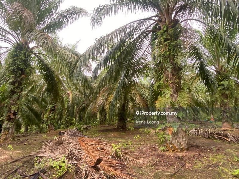 Tanah Perindustrian untuk Dijual di Taman Mentakab, Mentakab oleh Irene Leong - iProperty.com.my