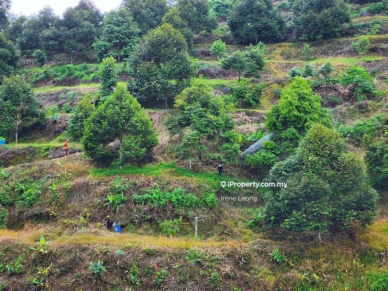 Tanah Pertanian untuk Dijual di Karak, Pahang oleh Irene Leong - iProperty.com.my