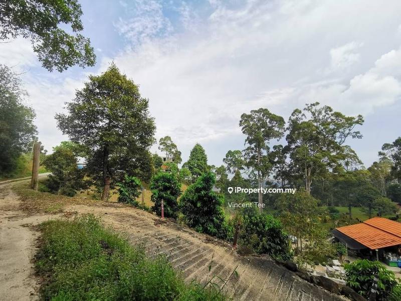 Tanah Pertanian untuk Dijual di Bukit Relau, Balik Pulau oleh Vincent Tee - iProperty.com.my