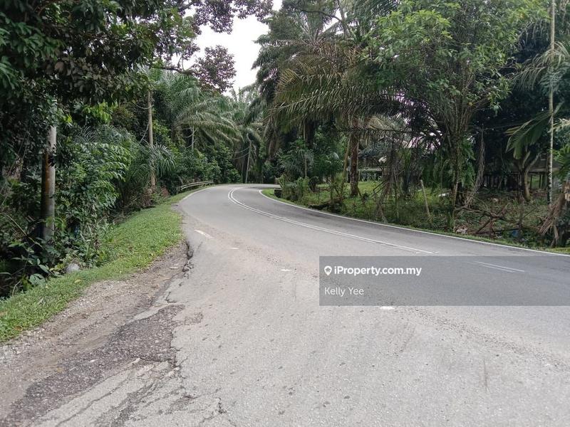 Agricultural Land for Sale in Sungai Lembu, Bukit Mertajam by Kelly Yee - iProperty.com.my