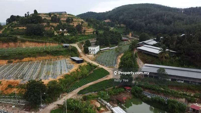 Agricultural Land for Sale in Kampung Legong Jaya, Gadong by Kelly Yee - iProperty.com.my