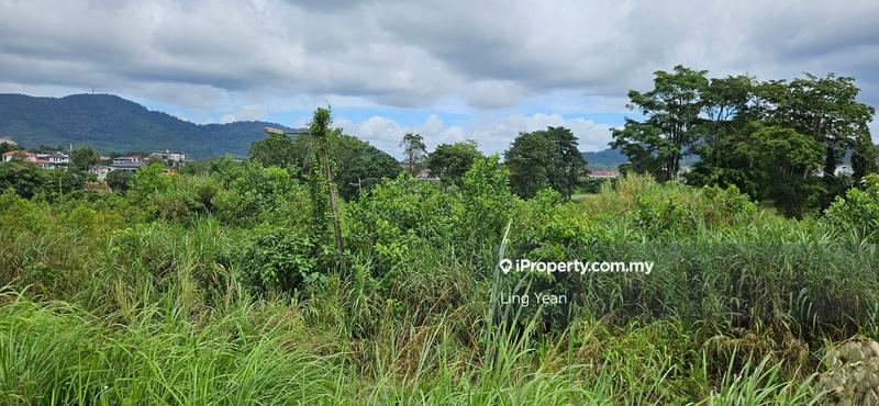 Agricultural Land for Sale in Bukit Banang, Batu Pahat by Ling Yean - iProperty.com.my