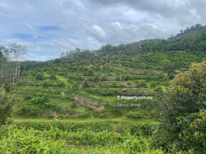 Tanah Pertanian untuk Dijual di Telemong, Bentong oleh Damon Wong - iProperty.com.my