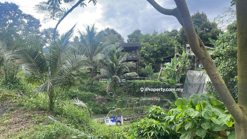 Agricultural Land for Sale in Raub, Raub by James Ng - iProperty.com.my