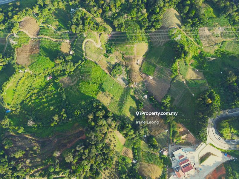 Agricultural Land for Sale in Genting Highlands, Bentong by Irene Leong - iProperty.com.my