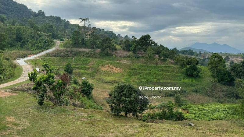 For Sale - 1.2 ac Karak Seri Telemong Orchard Height Land For Sale