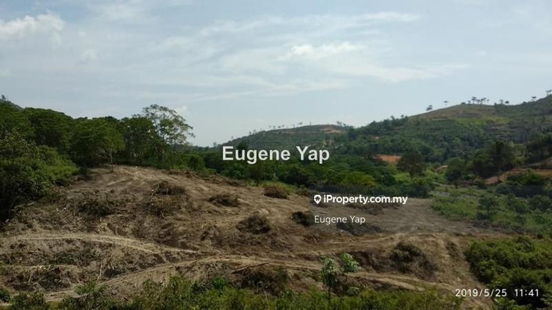 Agricultural Land for Sale in Karak, Pahang by Eugene Yap - iProperty.com.my