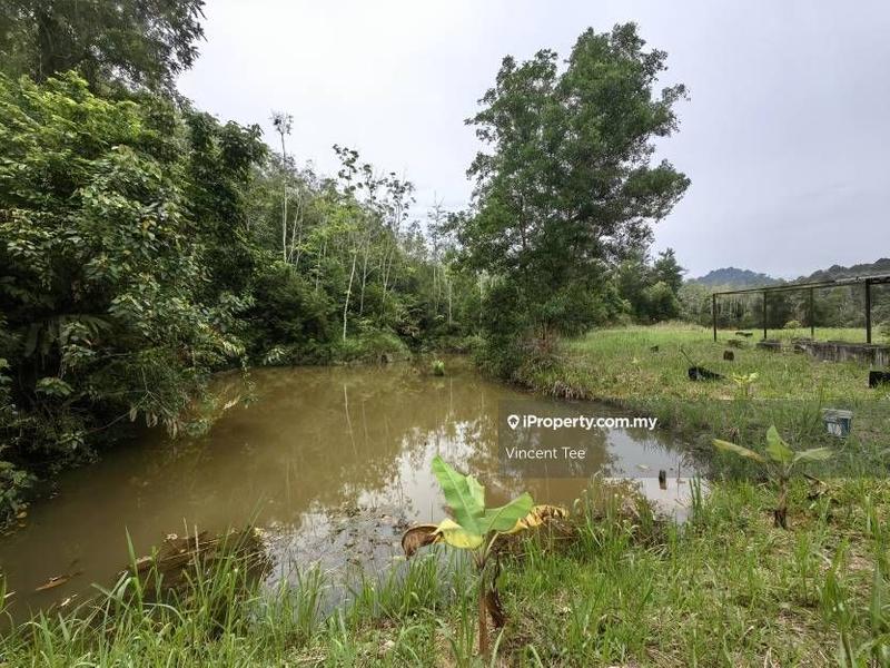 Tanah Pertanian untuk Dijual di Kampung Renal, Kuala Klawang oleh Vincent Tee - iProperty.com.my