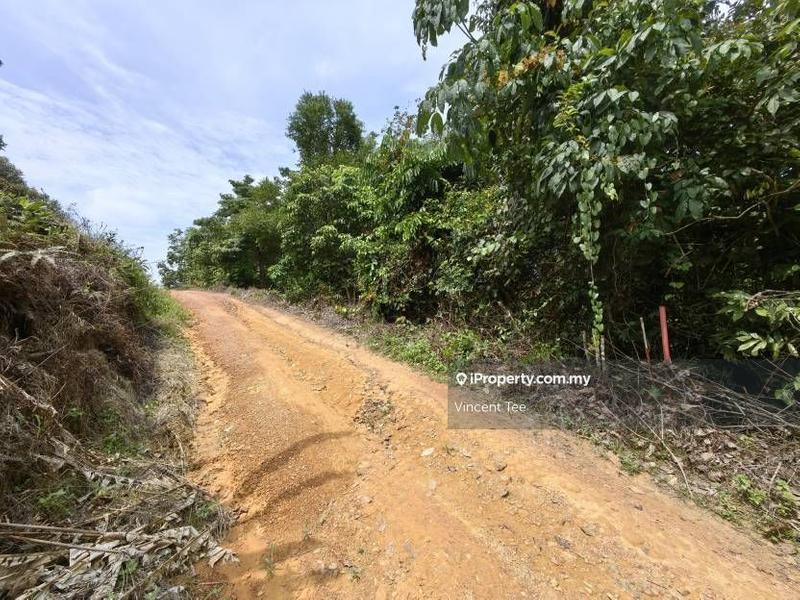 Agricultural Land for Sale in Bandar Lipis, Kuala Lipis by Vincent Tee - iProperty.com.my