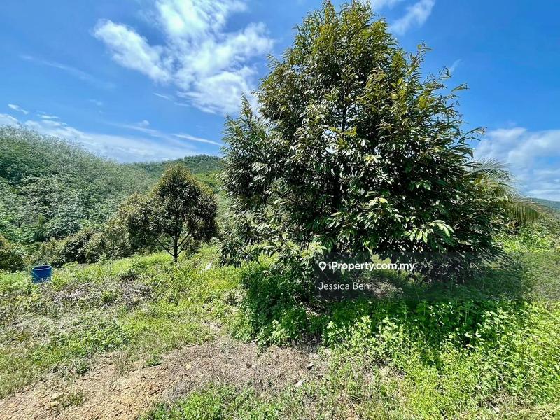 For Sale - Kuala Lipis