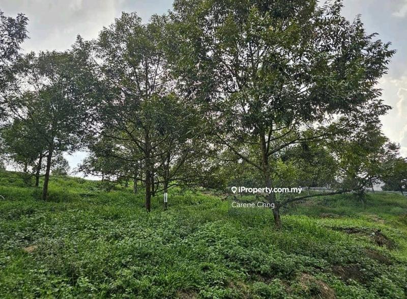 Agricultural Land for Sale in Hulu Langat, Selangor by Carene Chng - iProperty.com.my