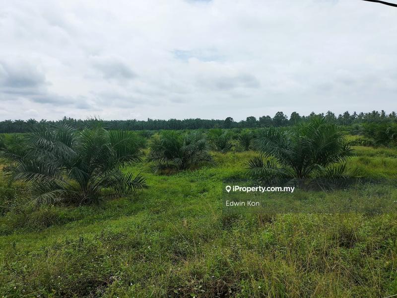 Agricultural Land for Sale in Seri Manjung, Perak by Edwin Kon - iProperty.com.my