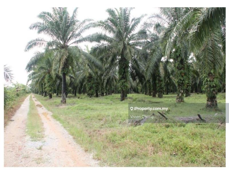 Agricultural Land for Sale in Sepang, Selangor by Vivien Chong - iProperty.com.my