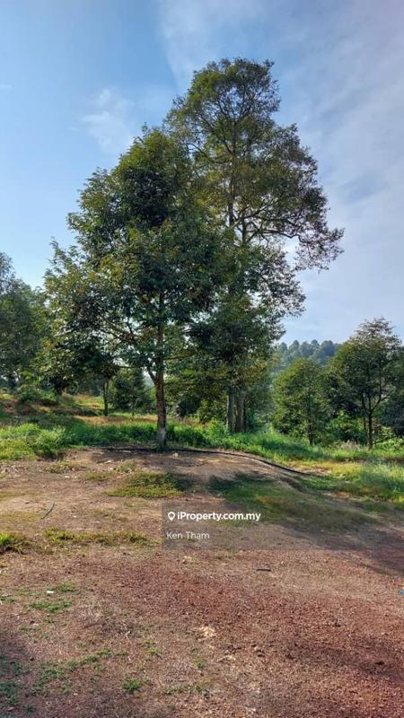 Agricultural Land for Sale in Taman Jelebu, Kuala Klawang by Ken Tham - iProperty.com.my
