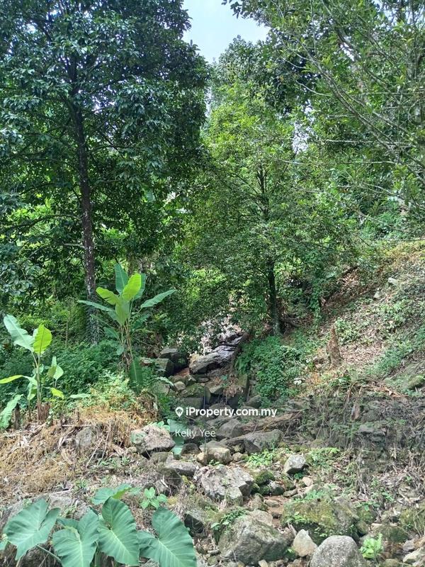 Tanah Pertanian untuk Dijual di Mengkuang Dam Orchard Farm for Sale, Bukit Mertajam oleh Kelly Yee - iProperty.com.my