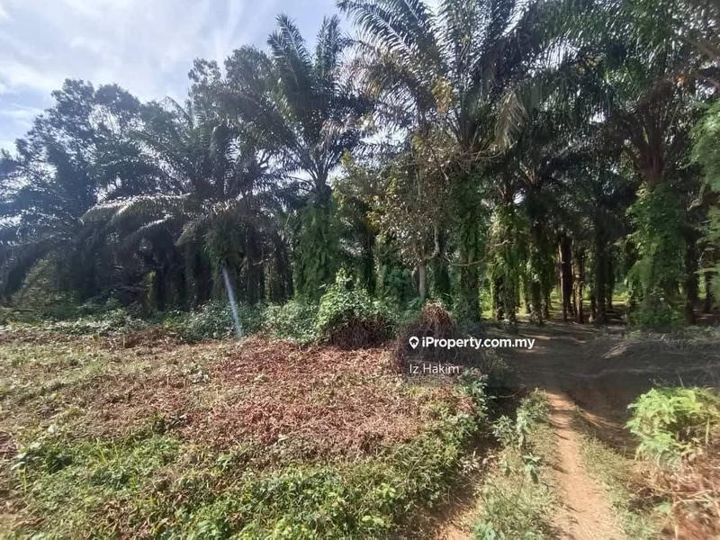 Agricultural Land for Sale in Kuala Kubu Baru, Selangor by Iz Hakim - iProperty.com.my
