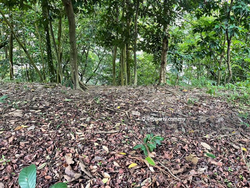 Bungalow Land for Sale in Country Heights Damansara, Kuala Lumpur by Anand - iProperty.com.my