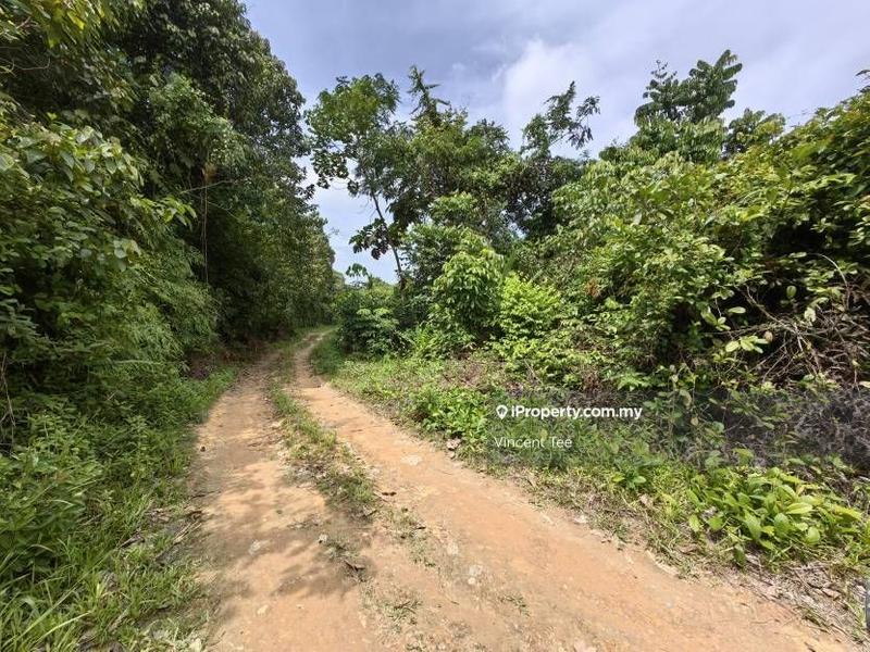 Agricultural Land for Sale in Bandar Lipis, Kuala Lipis by Vincent Tee - iProperty.com.my