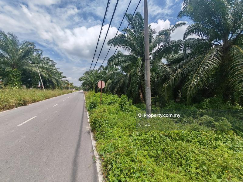 Agricultural Land for Sale in Kampung Tok Muda, Kapar by KT Go - iProperty.com.my