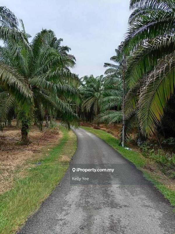 Tanah Pertanian untuk Dijual di Kampung Ladang Sempah, Sungai Jawi oleh Kelly Yee - iProperty.com.my