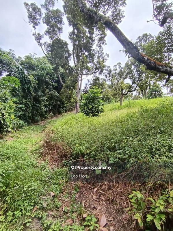 Agricultural Land for Sale in MANTIN, Seremban by Leo Hon - iProperty.com.my