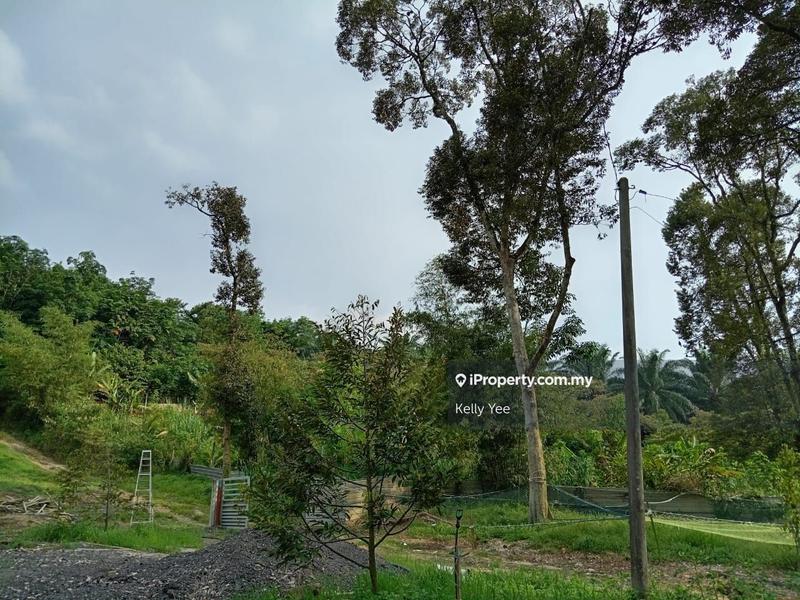 Tanah Pertanian untuk Dijual di Durian Orchard Farm @ Machang Bubok for Sale, Bukit Mertajam oleh Kelly Yee - iProperty.com.my