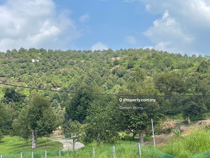 Tanah Pertanian untuk Dijual di Karak, Bentong oleh Damon Wong - iProperty.com.my