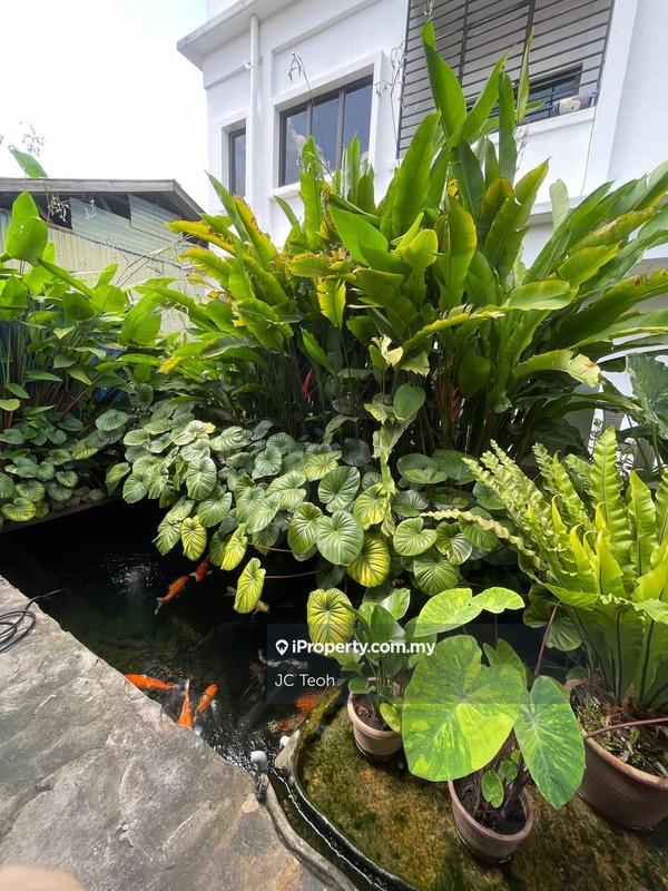 Rumah Berangkai 1 Tingkat untuk Disewa di Pju 1, Petaling Jaya oleh JC Teoh - iProperty.com.my