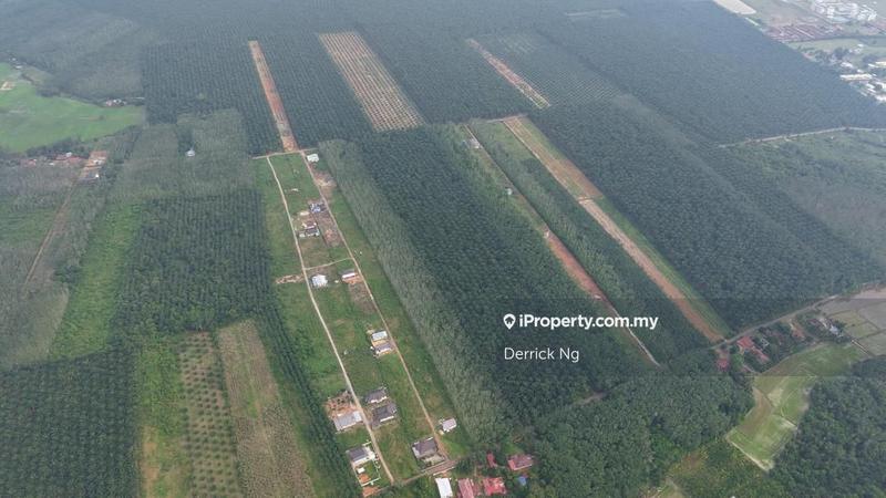 Agricultural Land for Sale in Taman Melor, Pendang by Derrick Ng - iProperty.com.my
