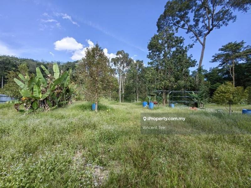 For Sale - 2 Acres Freehold Durian Farm Next to River Padang Tengku Kuala Lipis Raub Bentong