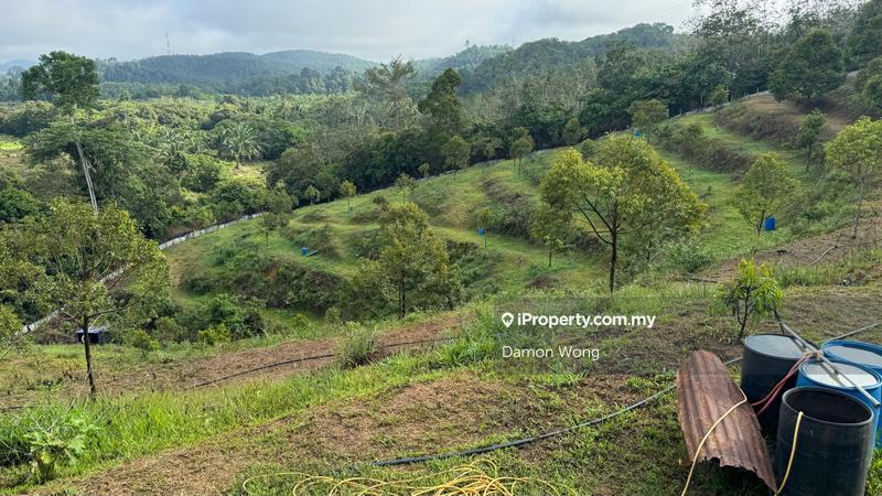Agricultural Land for Sale in Sega, Dong, Raub by Damon Wong - iProperty.com.my