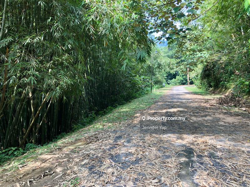 Tanah Kediaman untuk Dijual di Janda Baik, Bentong oleh Jennifer Yap - iProperty.com.my