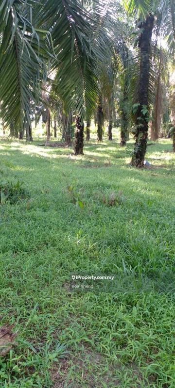 Agricultural Land for Sale in Taman Melaka Pindah, Alor Gajah by Kok Kheng - iProperty.com.my