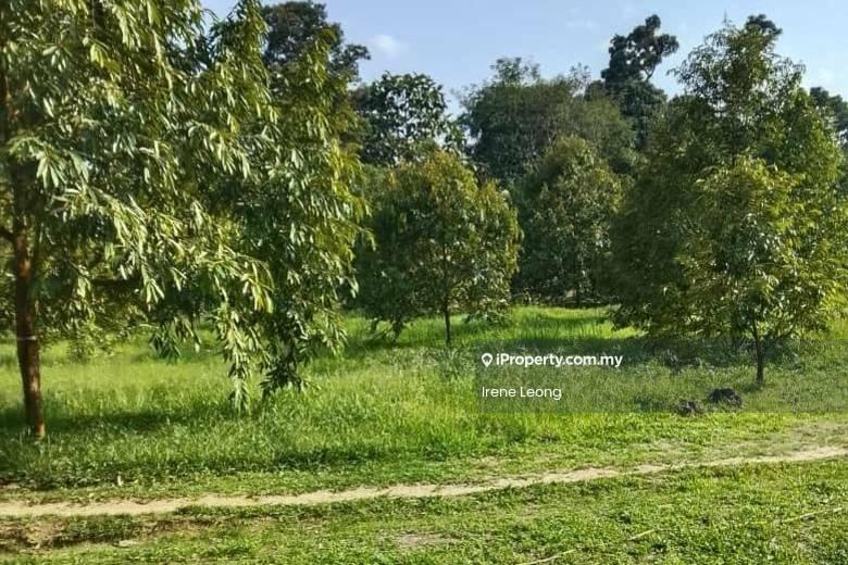 Agricultural Land for Sale in Karak, Pahang by Irene Leong - Garden - iProperty.com.my
