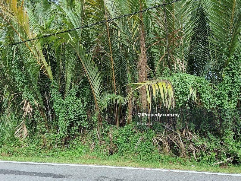 Agricultural Land for Sale in Nibong Tebal, Nibong Tebal by Bernard - iProperty.com.my